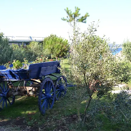 Assos Batik Iskele Oda ve Kahvaltı