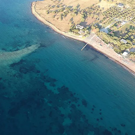 Assos Batik Iskele *