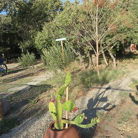 Oda ve Kahvaltı Assos Batik Iskele *