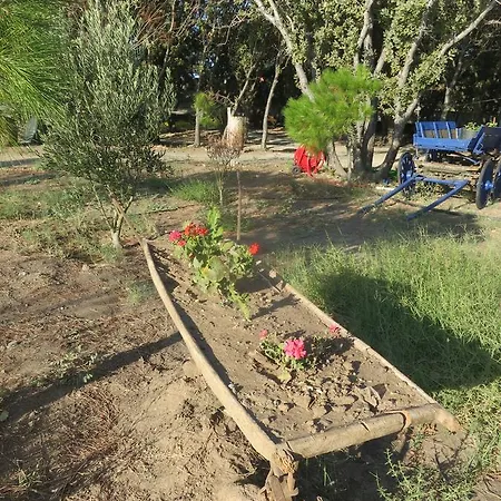 Assos Batik Iskele Balabanli