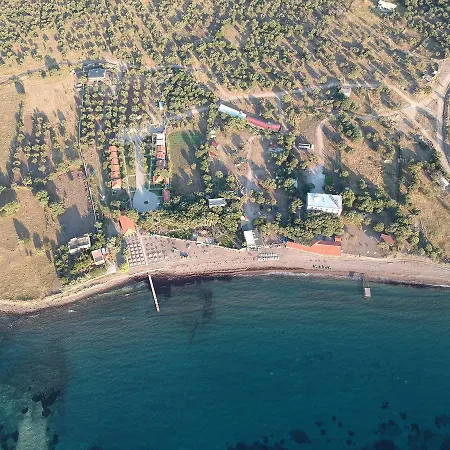 Assos Batik Iskele Balabanlı