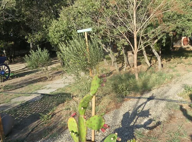 Bed & Breakfast Assos Batik Iskele *