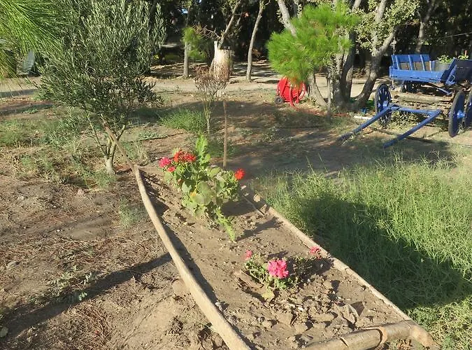 Assos Batik Iskele Balabanli